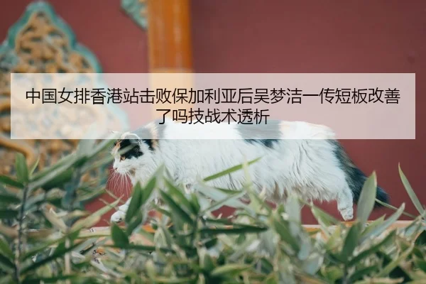 zhong-guo-nv-pai-xiang-gang-zhan-ji-bai-bao-jia-li-ya-hou-wu-meng-jie-yi-chuan-duan-ban-gai-shan-le-ma-ji-zhan-shu-tou-2-466.jpg